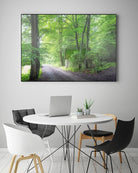 Frenzy Green by Anne Schneidersmann on GIANT ART - multicolor photography; landscapes