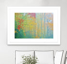 Autumn’s Palette by Steve Vaughn on GIANT ART - multicolor photography; landscapes