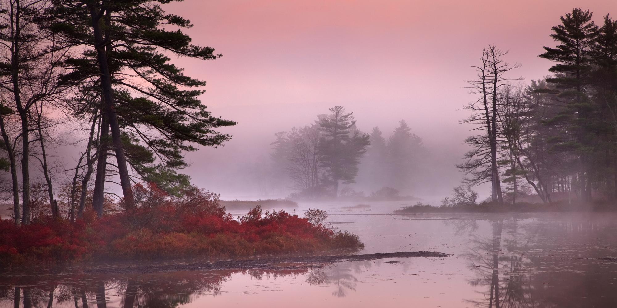 Pink Fog by Patrick Zephyr on GIANT ART - multi landscapes, photography, fog, waterways