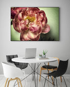 Standing in the Sun III by Jennifer Beavers on GIANT ART - green floral