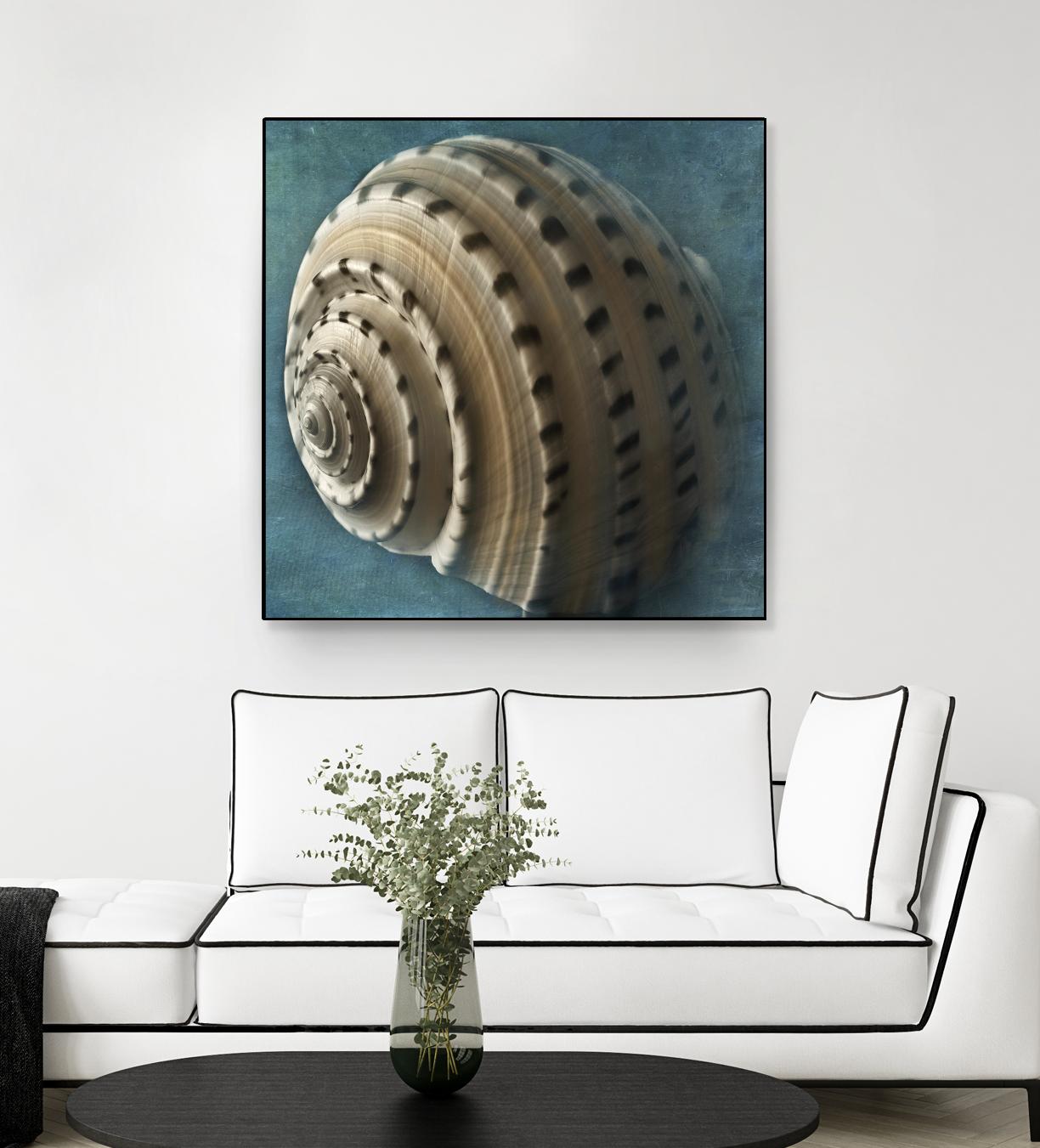 Three Shades of Blue Conch by Dennis Frates on GIANT ART - beige nautical