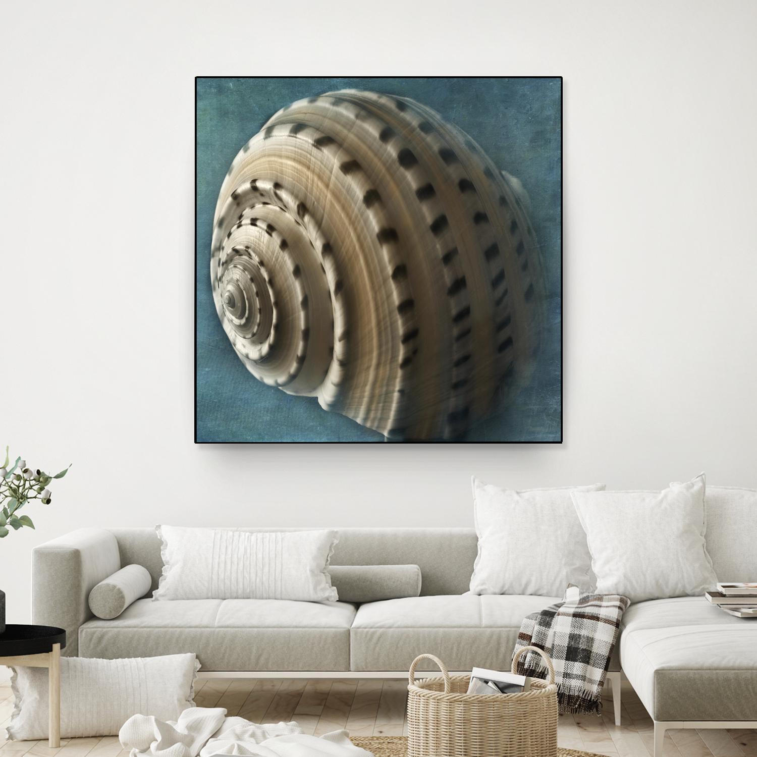 Three Shades of Blue Conch by Dennis Frates on GIANT ART - beige nautical