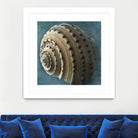 Three Shades of Blue Conch by Dennis Frates on GIANT ART - beige nautical