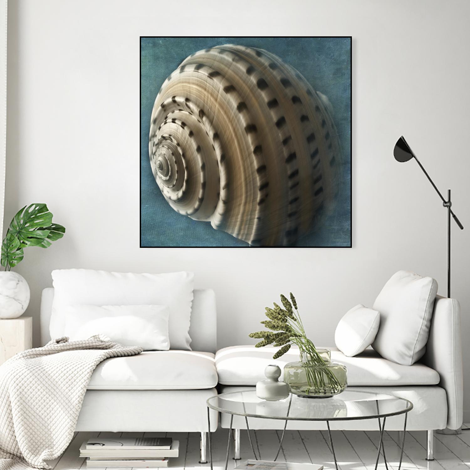 Three Shades of Blue Conch by Dennis Frates on GIANT ART - beige nautical