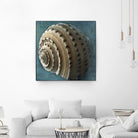 Three Shades of Blue Conch by Dennis Frates on GIANT ART - beige nautical