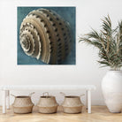Three Shades of Blue Conch by Dennis Frates on GIANT ART - beige nautical
