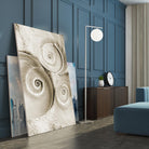 Sea Shell II by Norm Stelfox on GIANT ART - grey nautical