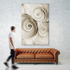 Sea Shell II by Norm Stelfox on GIANT ART - grey nautical