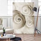 Sea Shell II by Norm Stelfox on GIANT ART - grey nautical