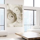 Sea Shell II by Norm Stelfox on GIANT ART - grey nautical