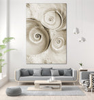 Sea Shell II by Norm Stelfox on GIANT ART - grey nautical