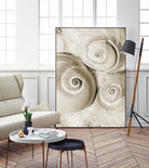 Sea Shell II by Norm Stelfox on GIANT ART - grey nautical