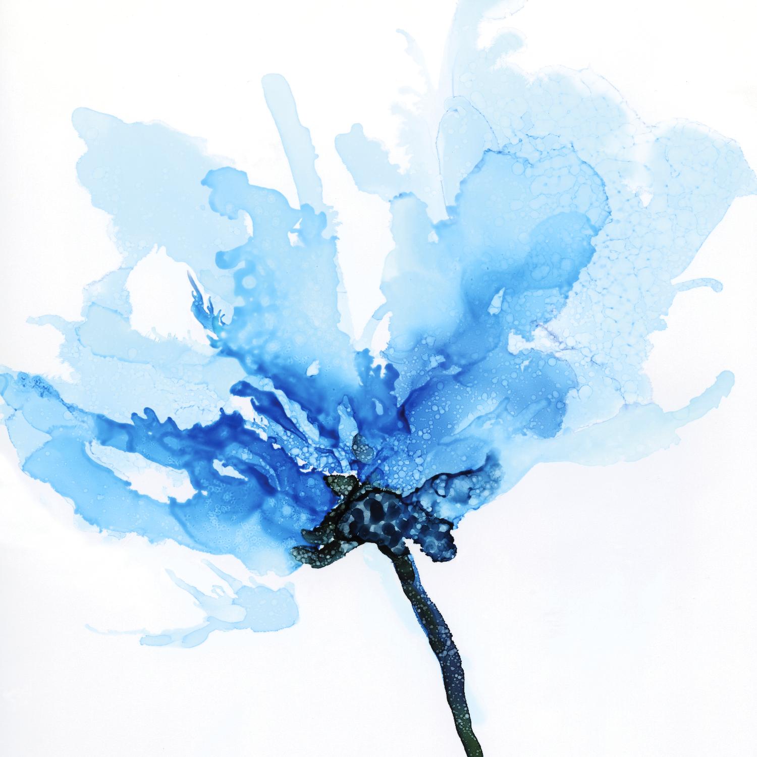 Blue Poppy II by Wendy Kroeker on GIANT ART - white floral