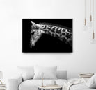 Williams - Calf by 1X on GIANT ART - white animals