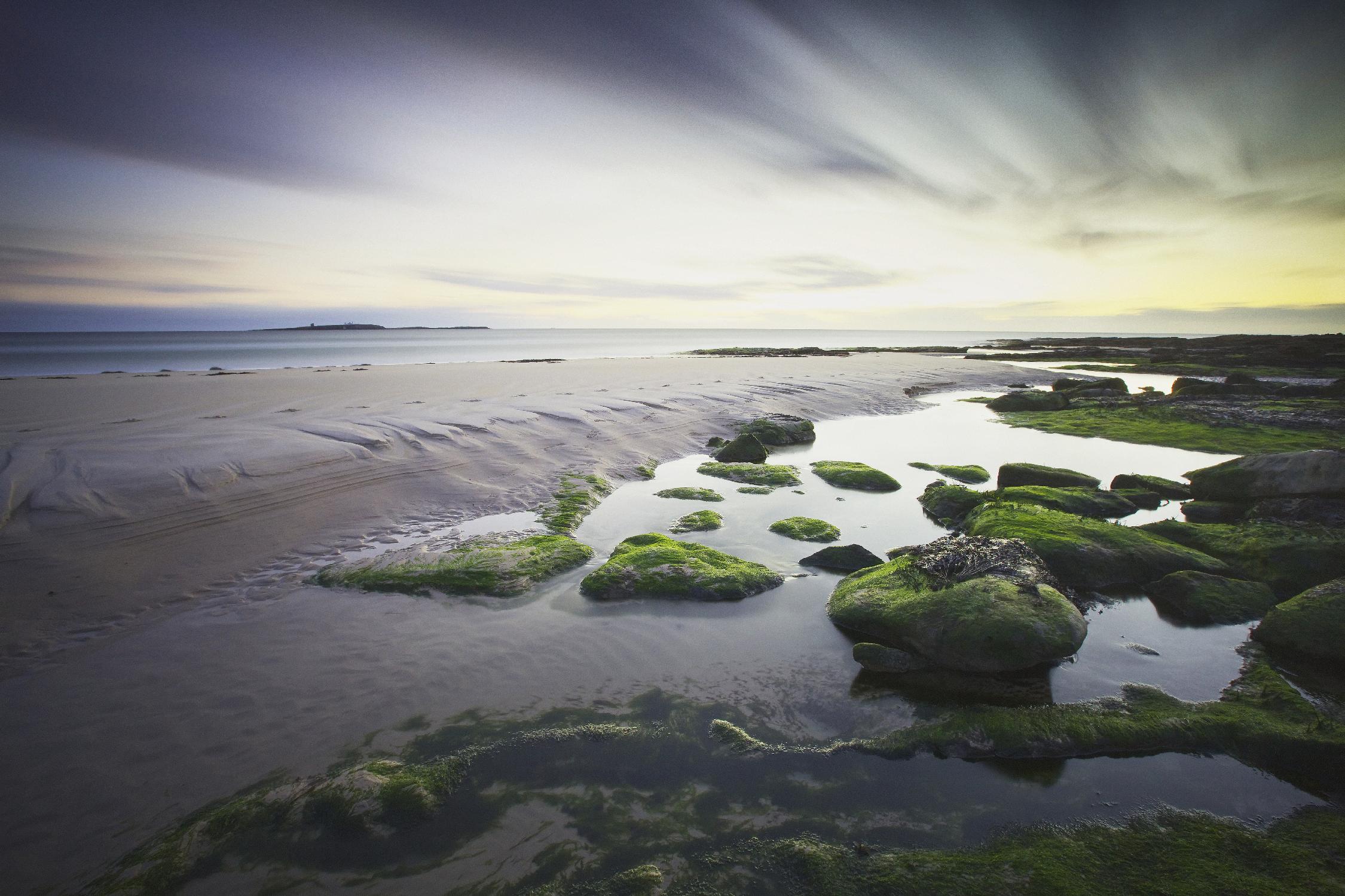 Cooper - Dawn over Seahouses Beach by 1X on GIANT ART - grey photo art