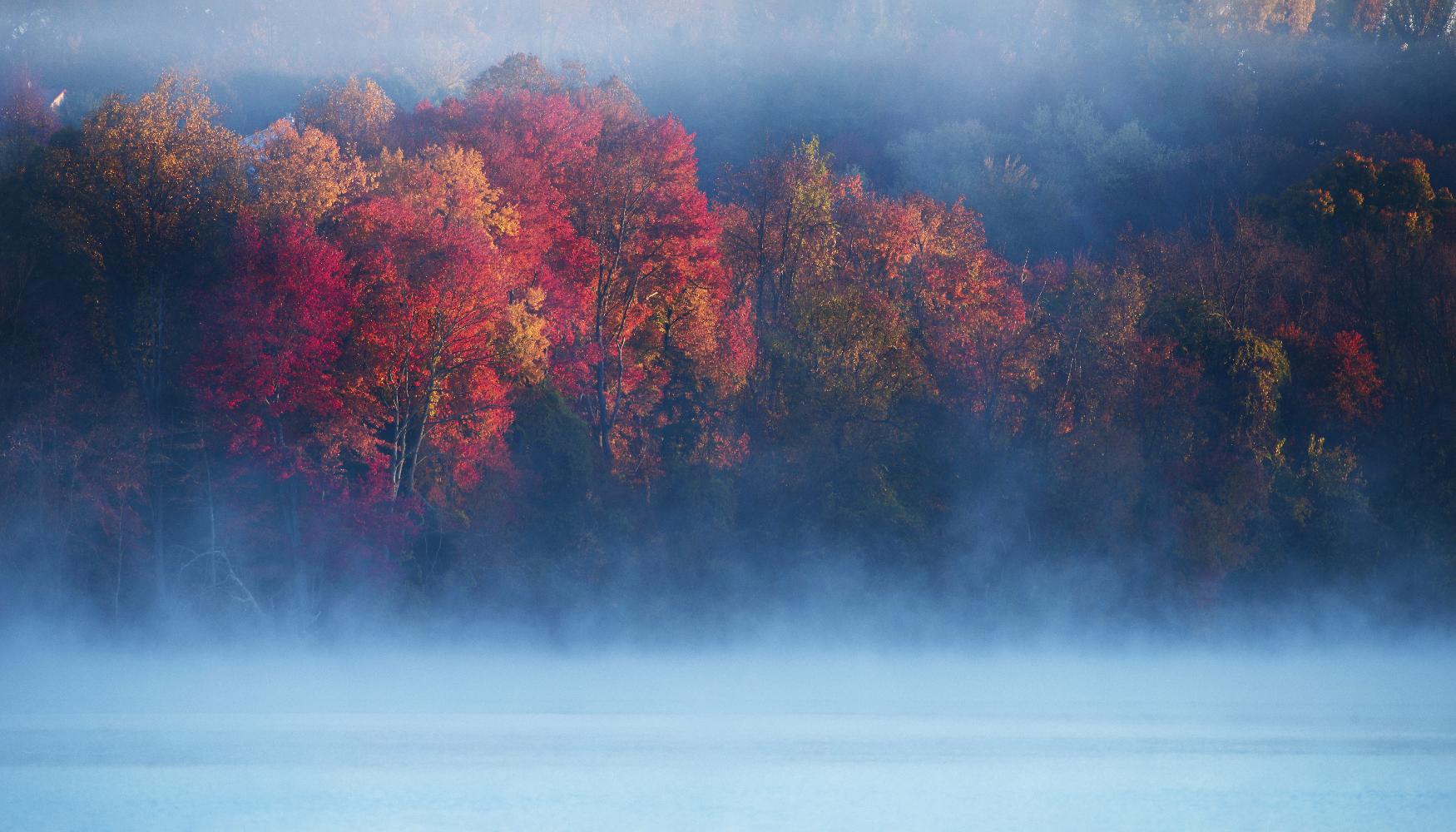 Li - Fall Impression III by 1X on GIANT ART - blue photo art