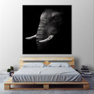 Portrait by WildPhotoArt on GIANT ART - white animal hear of elephant