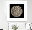 Mysterious Tree Rings by Roberto Gonzalez on GIANT ART - decorative 