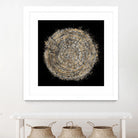 Mysterious Tree Rings by Roberto Gonzalez on GIANT ART - decorative 