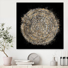 Mysterious Tree Rings by Roberto Gonzalez on GIANT ART - decorative 