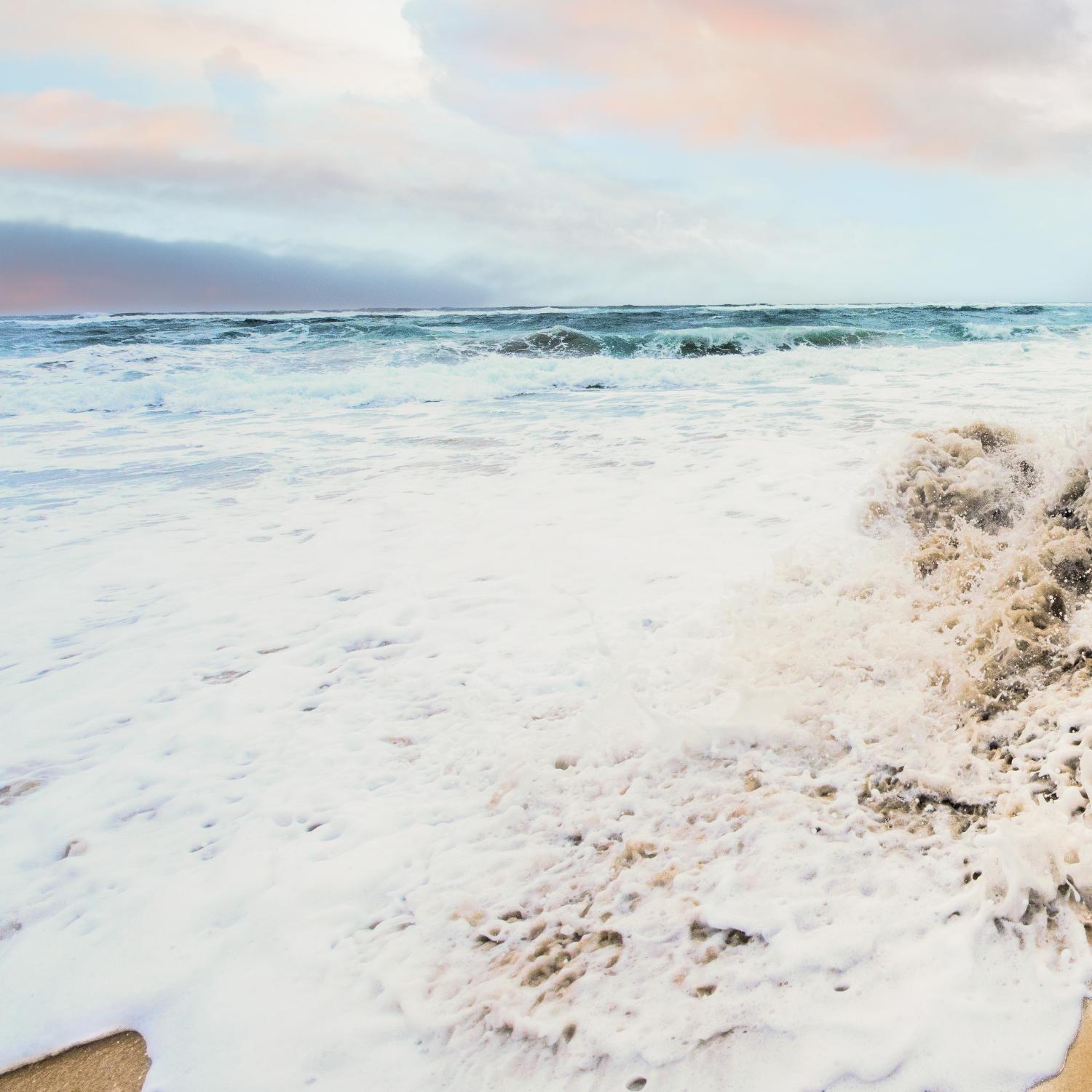 White Salty Shores by Bill Carson Photography on GIANT ART - coastal photography