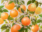 Tropical Oranges by Diannart on GIANT ART - fruit farm