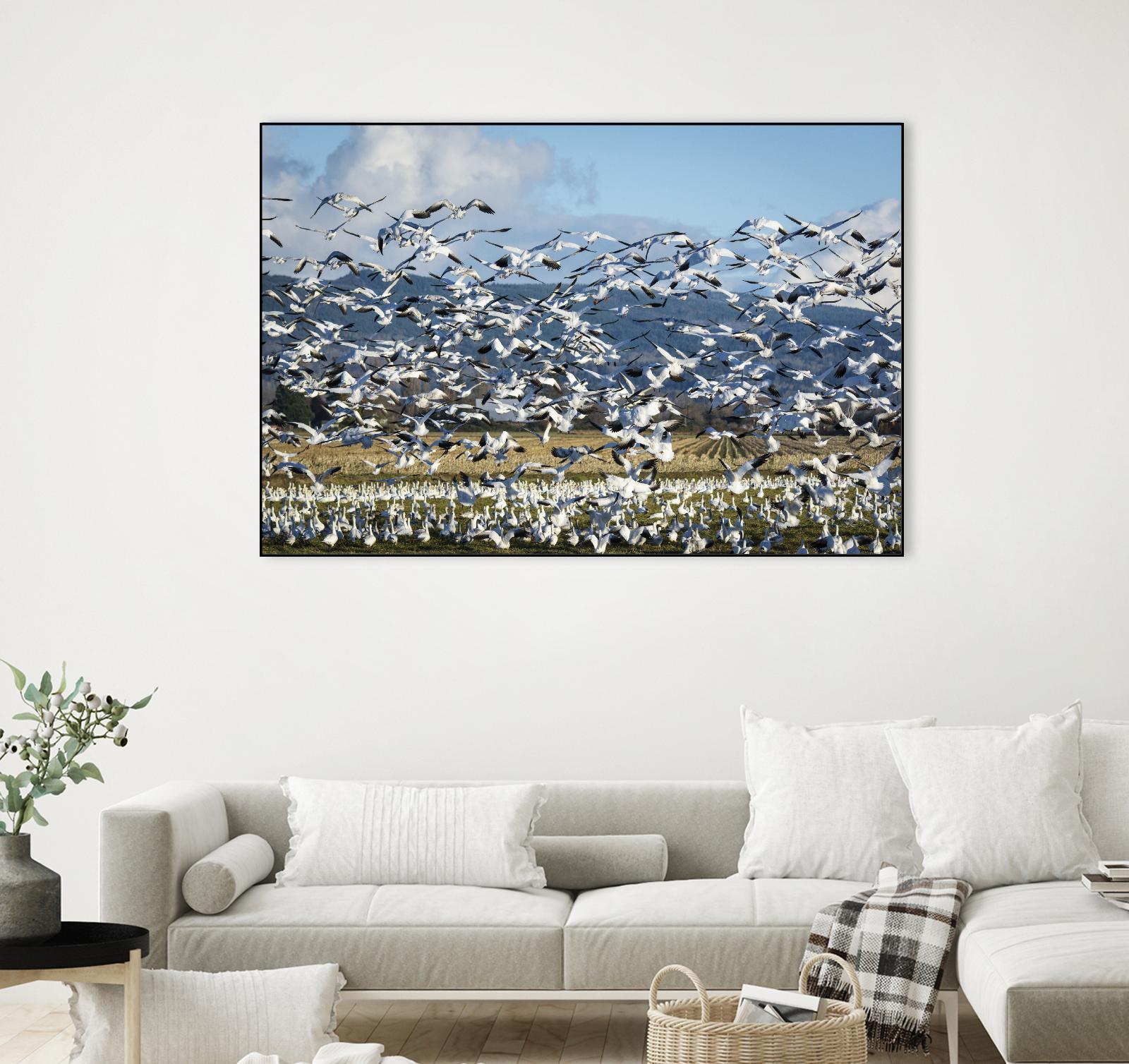 Takeoff by Nancy Crowell on GIANT ART - beige landscape