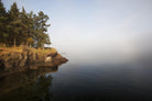 Photograph 6 by Aaron Matheson on GIANT ART - green landscape