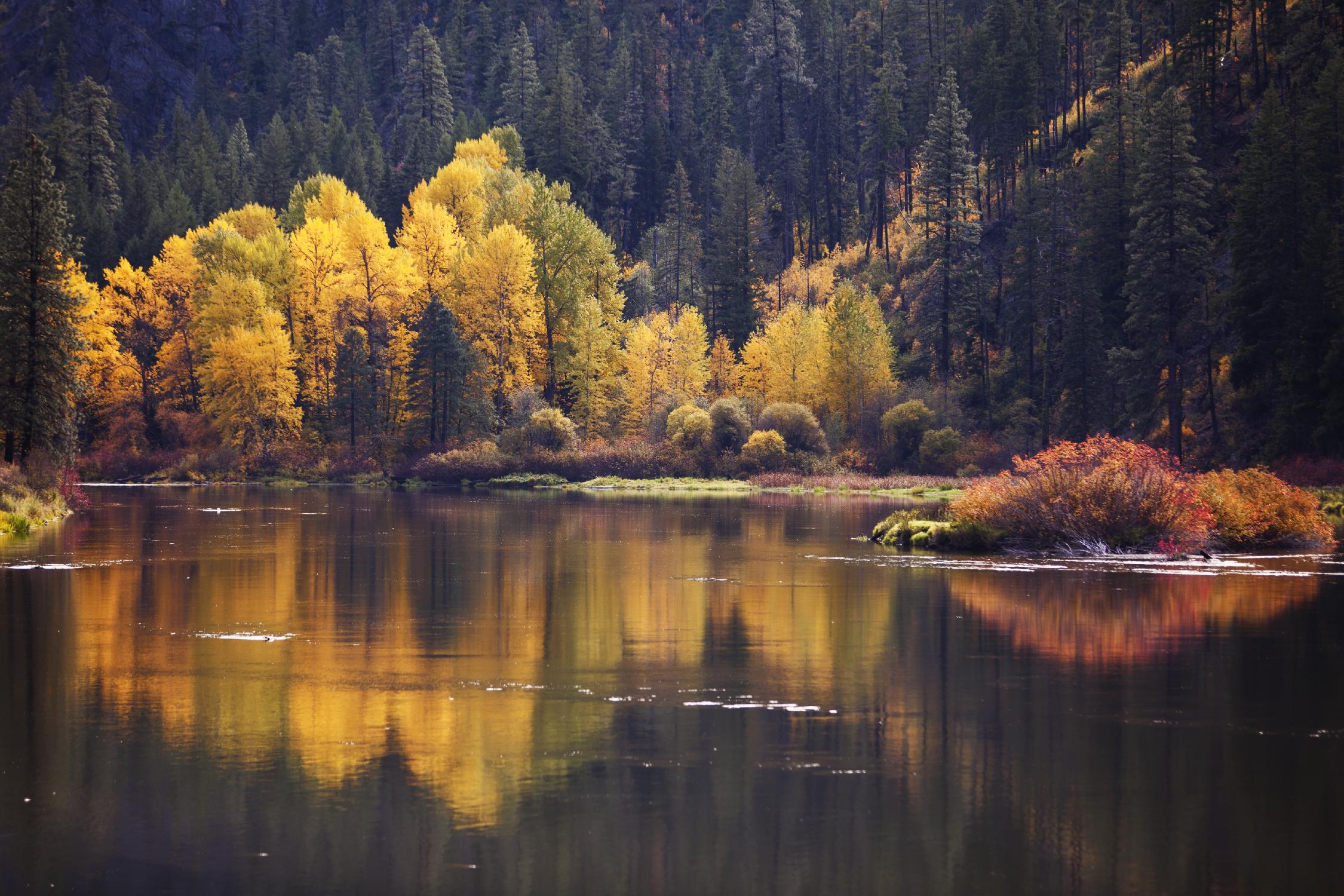 Mirror Visions by Aaron Matheson on GIANT ART - orange landscape