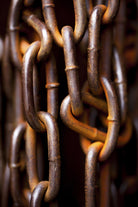 In Chains by Melissa McClain on GIANT ART - rust photo art