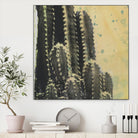 Desert Dreams IV by Naomi McCavitt on GIANT ART - coastal & tropical