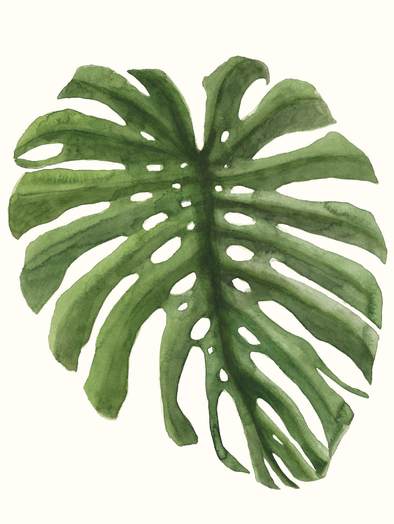 Tropical Breeze Leaves I by Naomi McCavitt on GIANT ART - green coastal & tropical greenery