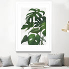 Pura Vida I by Grace Popp on GIANT ART - green coastal & tropical abstract 