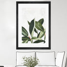 Pura Vida IV by Grace Popp on GIANT ART - green coastal & tropical abstract