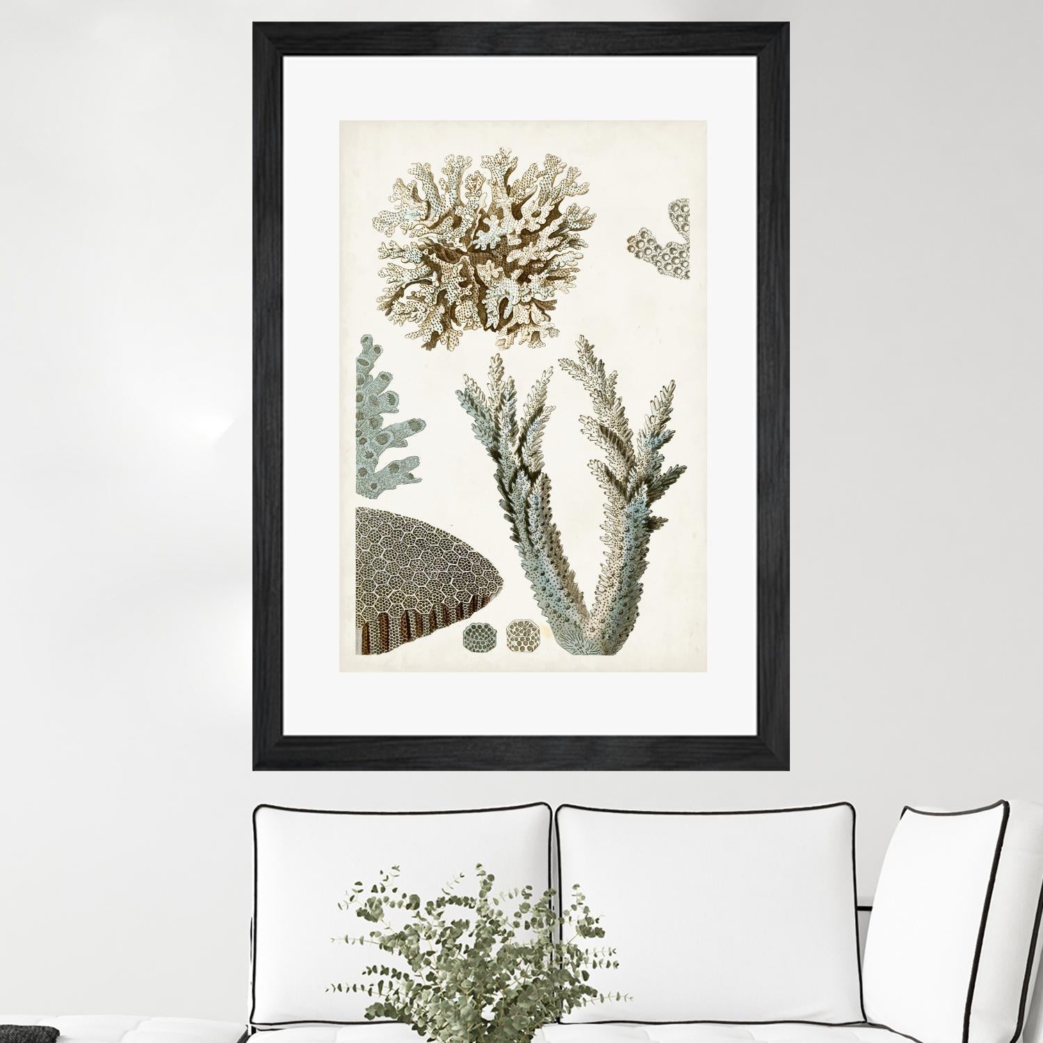 Coastal Curiosity VI by Unknown on GIANT ART - beige coastal & tropical sea