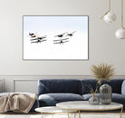 Planes by Pexels on GIANT ART - black vehicle