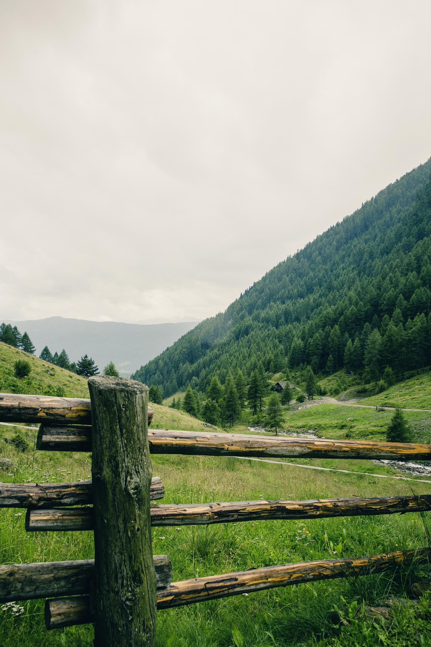 This view by Pexels on GIANT ART - white landscape