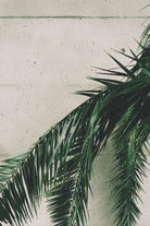 Tropical leaves by Pexels on GIANT ART - beige tropical