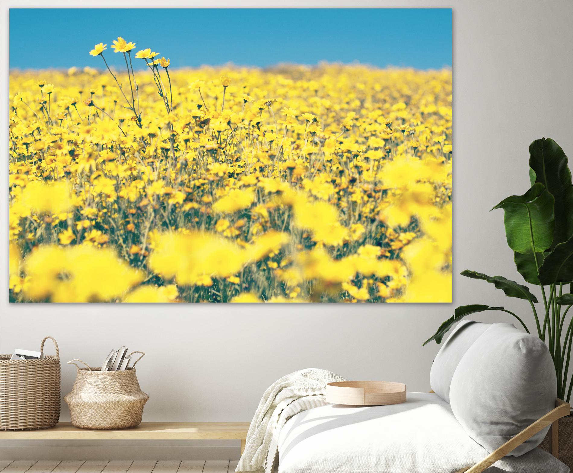Yellow Floral by Pexels on GIANT ART - blue floral