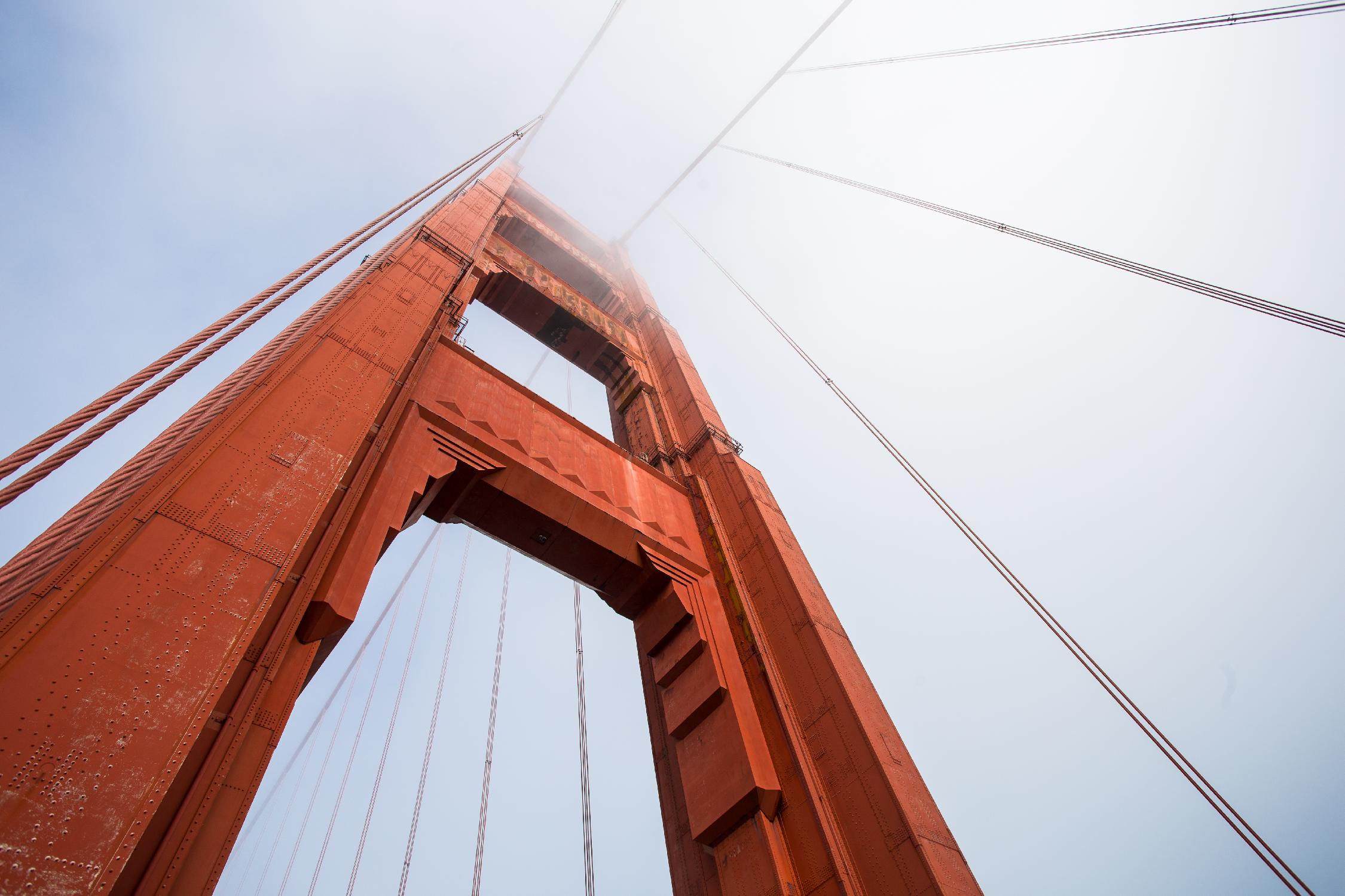 Bridge view by Pexels on GIANT ART - white architectural