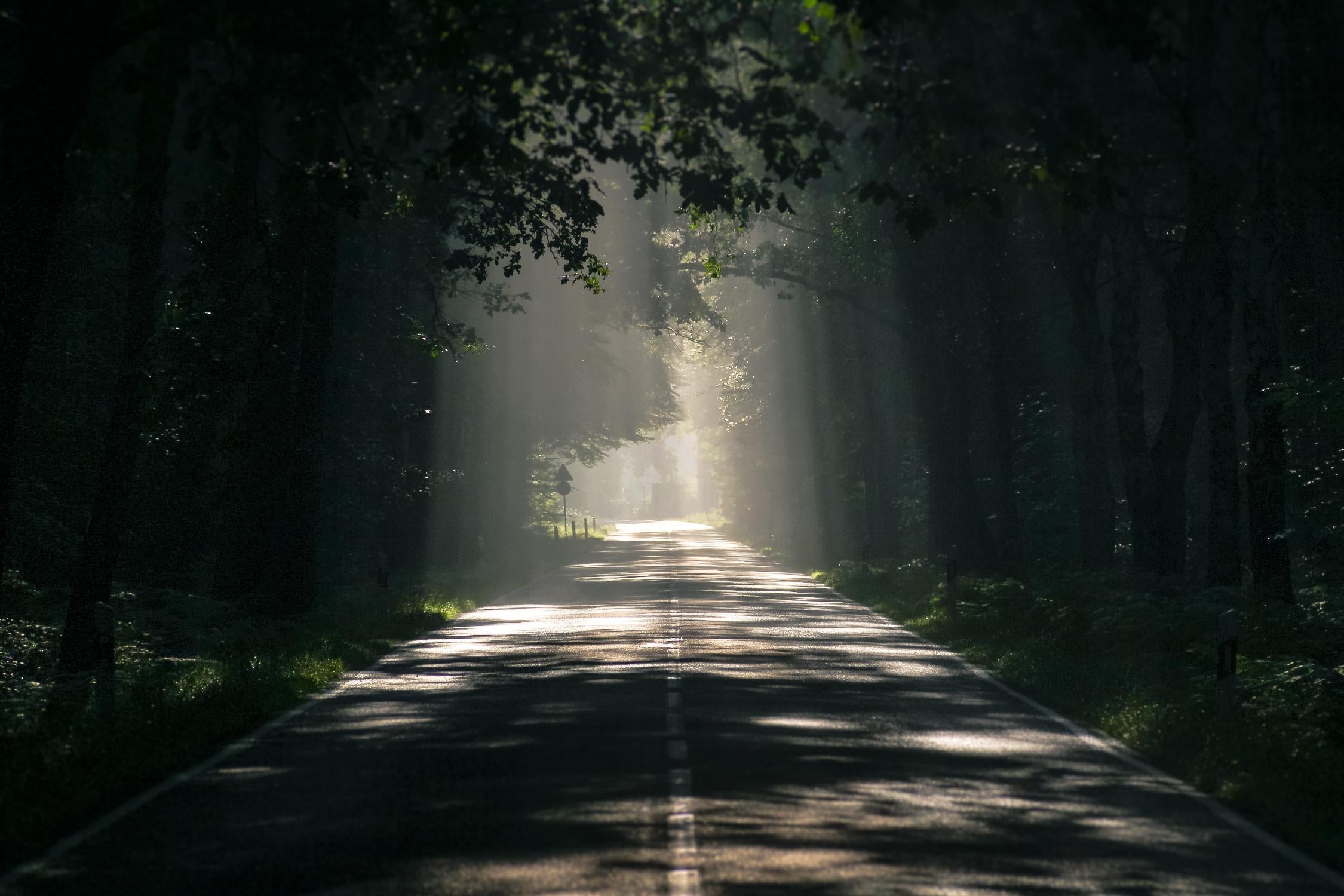 Welcome to heaven by Pexels on GIANT ART - green landscape