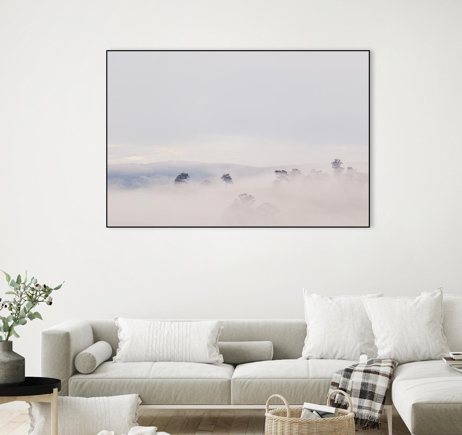 Top Trees by Pexels on GIANT ART - grey landscape