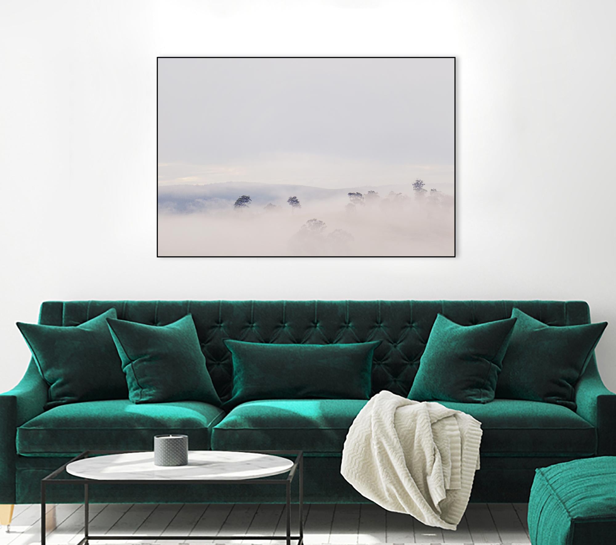 Top Trees by Pexels on GIANT ART - grey landscape
