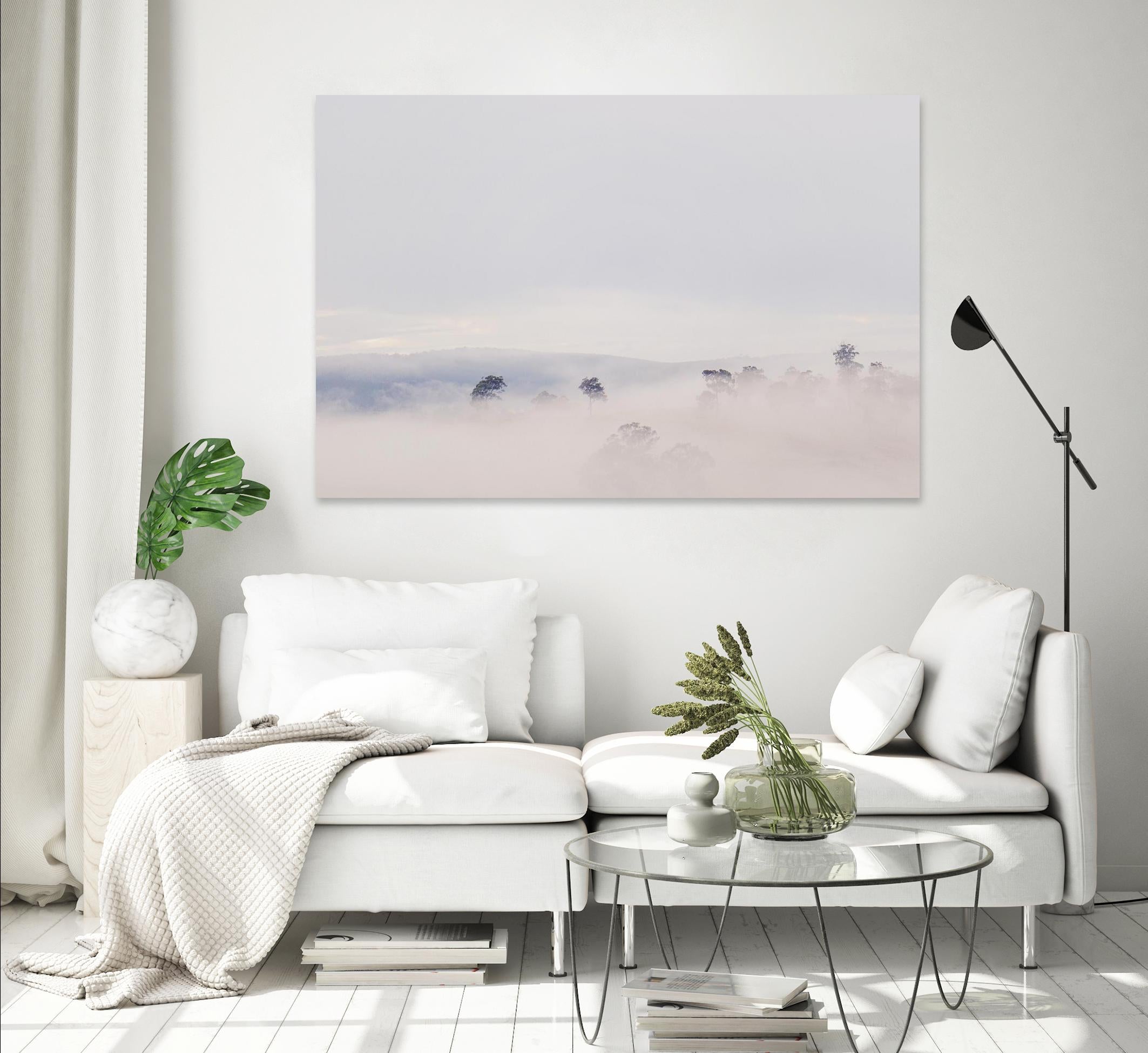 Top Trees by Pexels on GIANT ART - white landscape