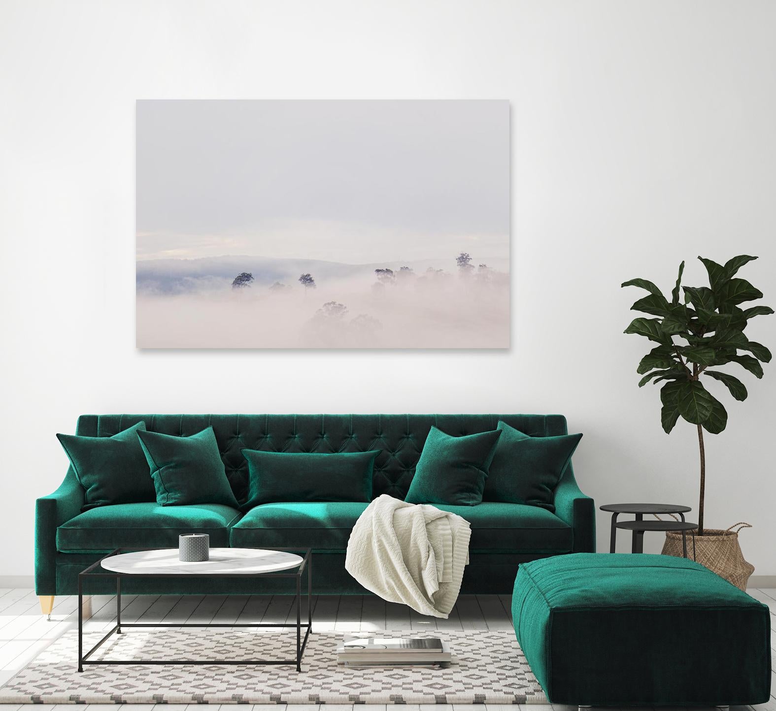 Top Trees by Pexels on GIANT ART - white landscape
