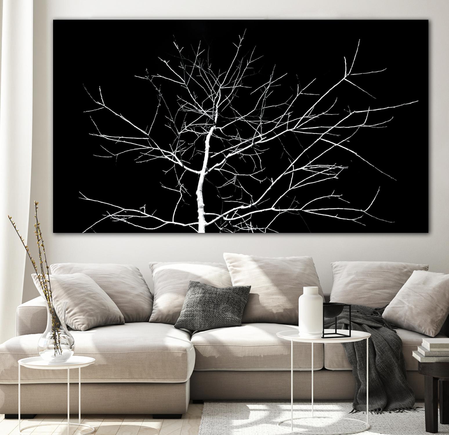 White Tree by Pexels on GIANT ART - white trees