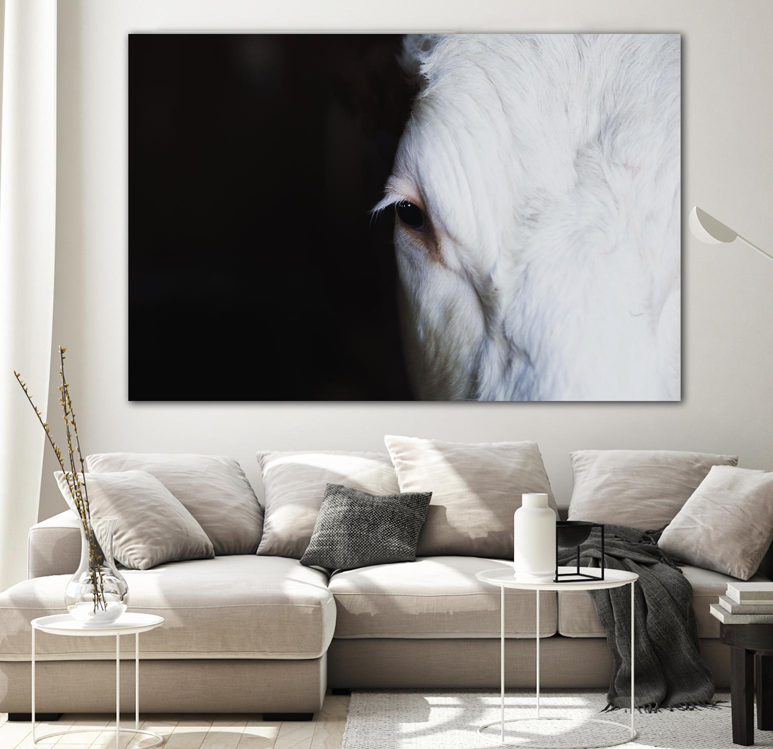 Marguerite by Pexels on GIANT ART - white animals